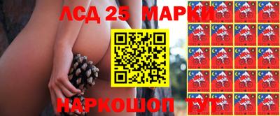 спайс Малгобек