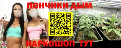 спайс Малгобек