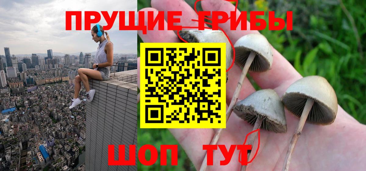 Псилоцибиновые грибы Psilocybe  Вход с VPN  Галлюциногенные грибы Magic Shrooms  Кинешма 