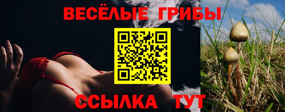Псилоцибиновые грибы Magic Shrooms Кинешма